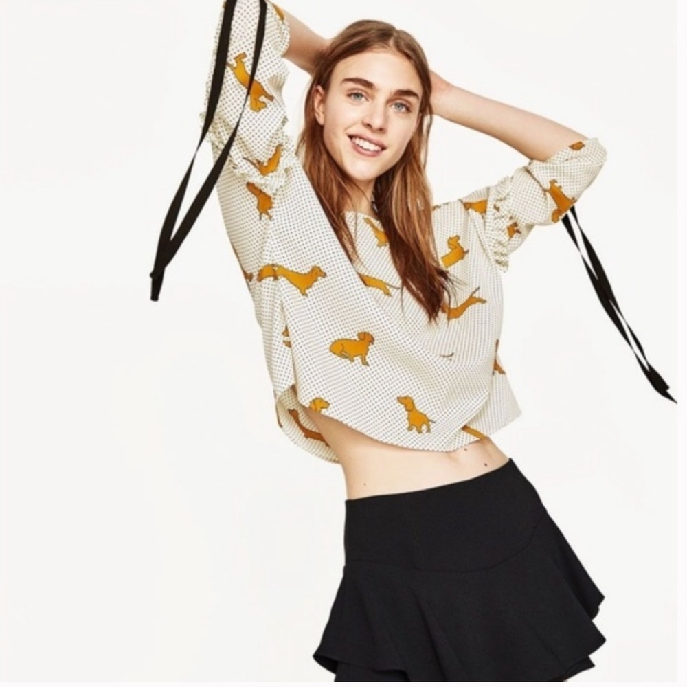 Zara Woman Dachsund Top
